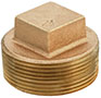 1/2 to 6 Inch (in) Size Domestic Lead Free Brass Pipe Plug
