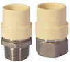 Chlorinated Polyvinyl Chloride (CPVC) x Stainless Steel (SS) Adapter Fittings